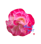 お花づくし（個別スタンプ：5）