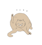 ふとっちょ猫！！！（個別スタンプ：1）