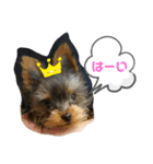 癒しのちょこ（個別スタンプ：3）