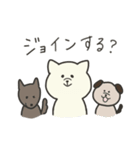 意識の高いわんこ(詰め編)（個別スタンプ：17）