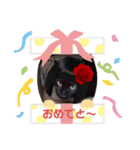 ひじきのにちじょう（個別スタンプ：5）