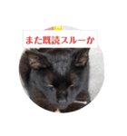 ひじきのにちじょう（個別スタンプ：7）