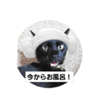 ひじきのにちじょう（個別スタンプ：8）