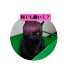 ひじきのにちじょう（個別スタンプ：12）