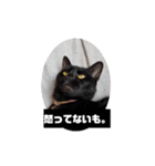 ひじきのにちじょう（個別スタンプ：14）