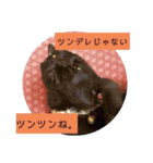 ひじきのにちじょう（個別スタンプ：21）
