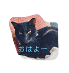 ひじきのにちじょう（個別スタンプ：23）