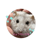ハムハムハムっこ（個別スタンプ：12）