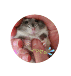 ハムハムハムっこ（個別スタンプ：15）