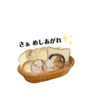 Luanaの仲間（個別スタンプ：7）