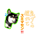 黒柴 リクとスタンプ（個別スタンプ：5）