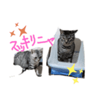 みこぼう.りぼ子（個別スタンプ：2）