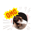megumogu3150（個別スタンプ：4）