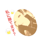 megumogu3150（個別スタンプ：6）