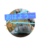 ハムスターのマリン（個別スタンプ：9）