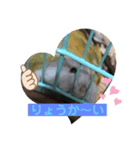 ハムスターのマリン（個別スタンプ：10）