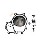 ハムスターのマリン（個別スタンプ：20）