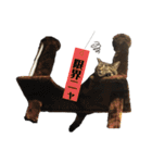 愛するサバ。（個別スタンプ：6）