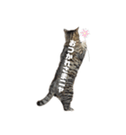 愛するサバ。（個別スタンプ：7）