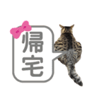 愛するサバ。（個別スタンプ：9）