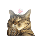 愛するサバ。（個別スタンプ：14）
