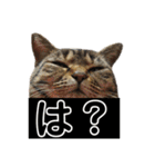 愛するサバ。（個別スタンプ：23）