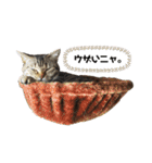 愛するサバ。（個別スタンプ：26）