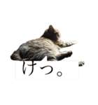 愛するサバ。（個別スタンプ：28）