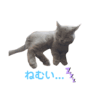 すぅたんぷpart1（個別スタンプ：2）
