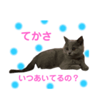 すぅたんぷpart1（個別スタンプ：3）