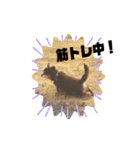 初めまして、いちと申します。（個別スタンプ：12）