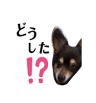 初めまして、いちと申します。（個別スタンプ：29）