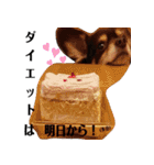 初めまして、いちと申します。（個別スタンプ：38）