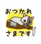 猫のびいちゃん ゆる敬語（個別スタンプ：2）