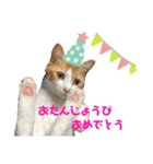 超キュートですネ☆むぎちゃ後輩①（個別スタンプ：1）