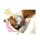 超キュートですネ☆むぎちゃ後輩①（個別スタンプ：6）