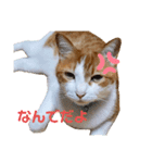 超キュートですネ☆むぎちゃ後輩①（個別スタンプ：8）