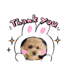うに❤️しじみ（個別スタンプ：3）