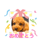 うに❤️しじみ（個別スタンプ：4）