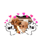 うに❤️しじみ（個別スタンプ：6）