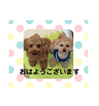 うに❤️しじみ（個別スタンプ：7）