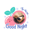 うに❤️しじみ（個別スタンプ：8）