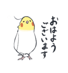 オカメインコ 敬語（個別スタンプ：1）