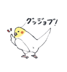 オカメインコ 敬語（個別スタンプ：5）