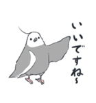 オカメインコ 敬語（個別スタンプ：12）