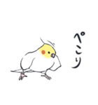 オカメインコ 敬語（個別スタンプ：13）