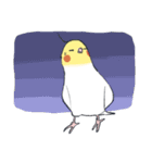 オカメインコ 敬語（個別スタンプ：23）