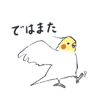 オカメインコ 敬語（個別スタンプ：31）