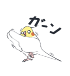 オカメインコ 敬語（個別スタンプ：33）