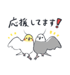 オカメインコ 敬語（個別スタンプ：40）